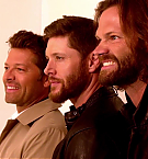 Filename=370.jpg
Filesize=141KiB
Dimensions=1920x1080
Date added=Nov 21, 2024 370.jpg