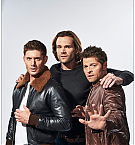 Filename=730.jpg
Filesize=661KiB
Dimensions=1090x1622
Date added=Nov 21, 2024 730.jpg