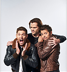 Filename=742.jpg
Filesize=611KiB
Dimensions=1090x1622
Date added=Nov 21, 2024 742.jpg