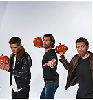 Filename=824.jpg
Filesize=606KiB
Dimensions=1622x1090
Date added=Nov 21, 2024 824.jpg