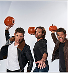 Filename=842.jpg
Filesize=631KiB
Dimensions=1622x1090
Date added=Nov 21, 2024 842.jpg