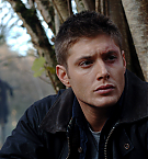 Filename=124.jpg
Filesize=4427KiB
Dimensions=4288x2848
Date added=Nov 23, 2024 124.jpg