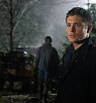 Filename=180.jpg
Filesize=4579KiB
Dimensions=4288x2848
Date added=Nov 23, 2024 180.jpg