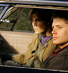 Filename=225.jpg
Filesize=2919KiB
Dimensions=3504x2336
Date added=Nov 23, 2024 225.jpg