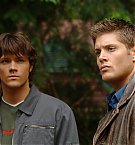 Filename=498.jpg
Filesize=5286KiB
Dimensions=4288x2848
Date added=Nov 23, 2024 498.jpg